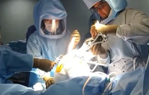 Robotic Total Knee Replacement